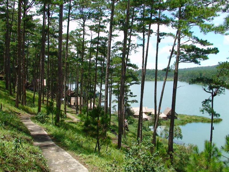 Nha-Trang-Dalat-Sea-and-forest-scent